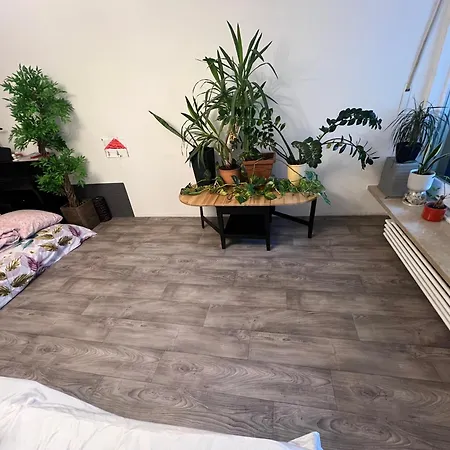 Rum i privatbostad M Zone, Quiet Large Living Room, Terrace